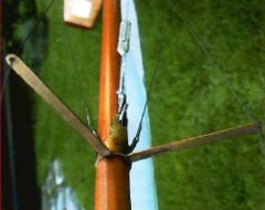 2003_m23_10 2003_m23_10